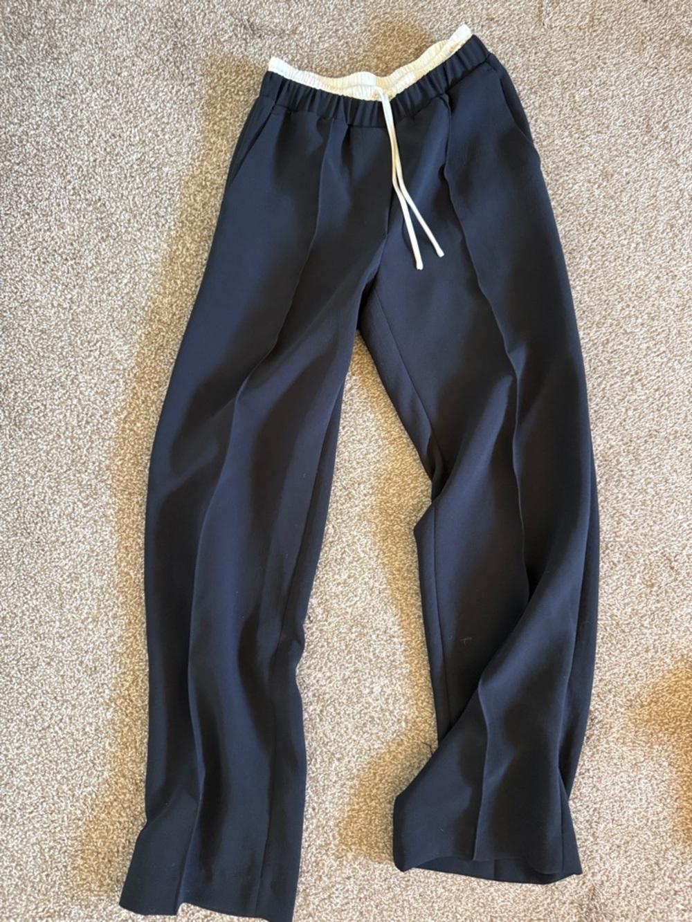 Aritzia Wilfred Sybil Pants